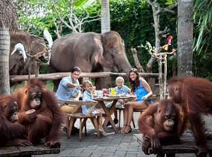 Ubud Bali Activities