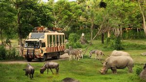 Bali Zoo dan Bali Safari