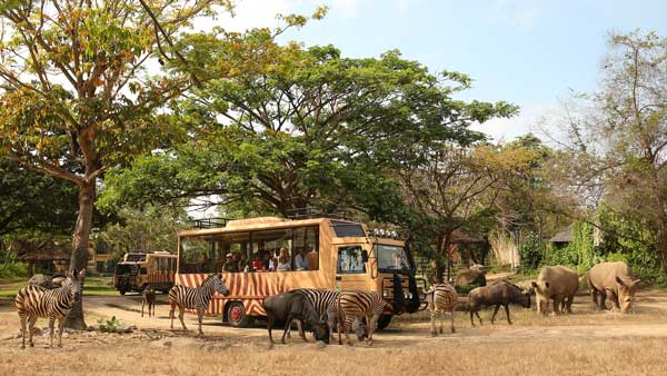 bali zoo park