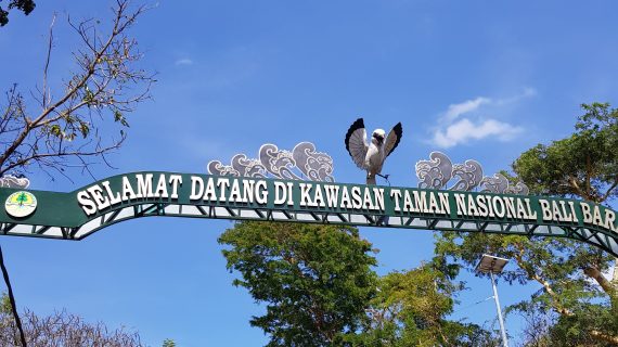Pesona Alam Taman Nasional Bali Barat