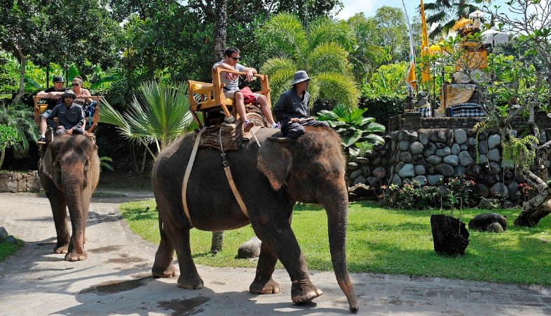 Kebun Binatang di Bali, Bali Zoo